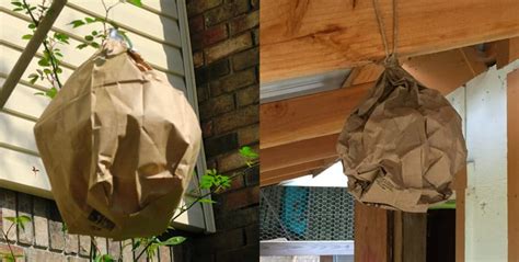 making a fake wasp nest out of a paper bag|plastic wasp nests.